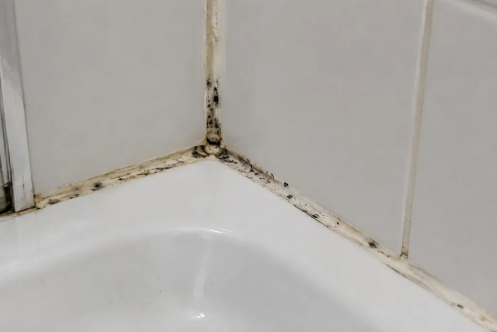 Kitbedrijf Raalte – beschimmelde kitranden